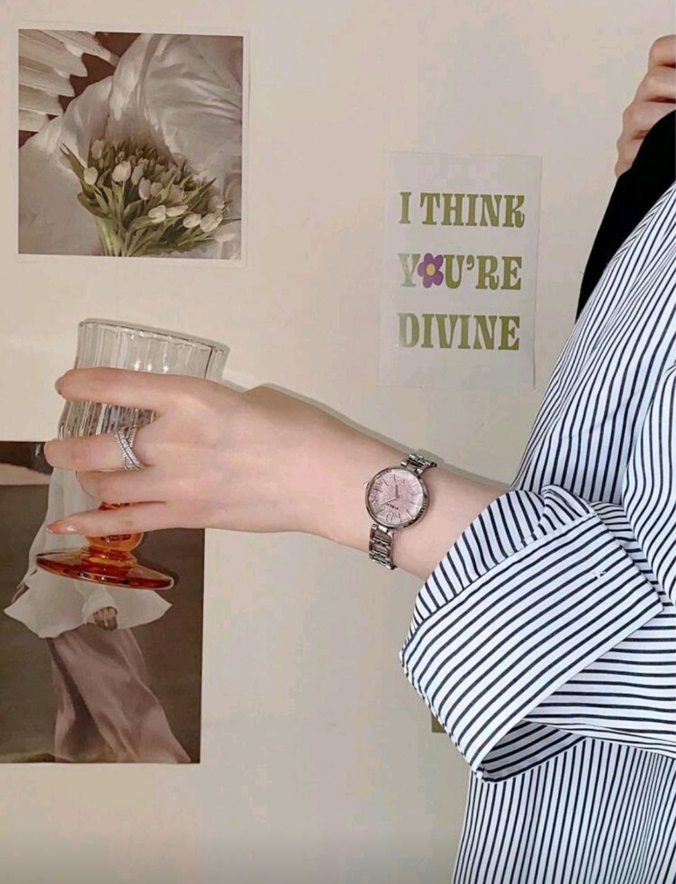 Women’s Elegant Small Dial Stainless Steel Quartz Watch