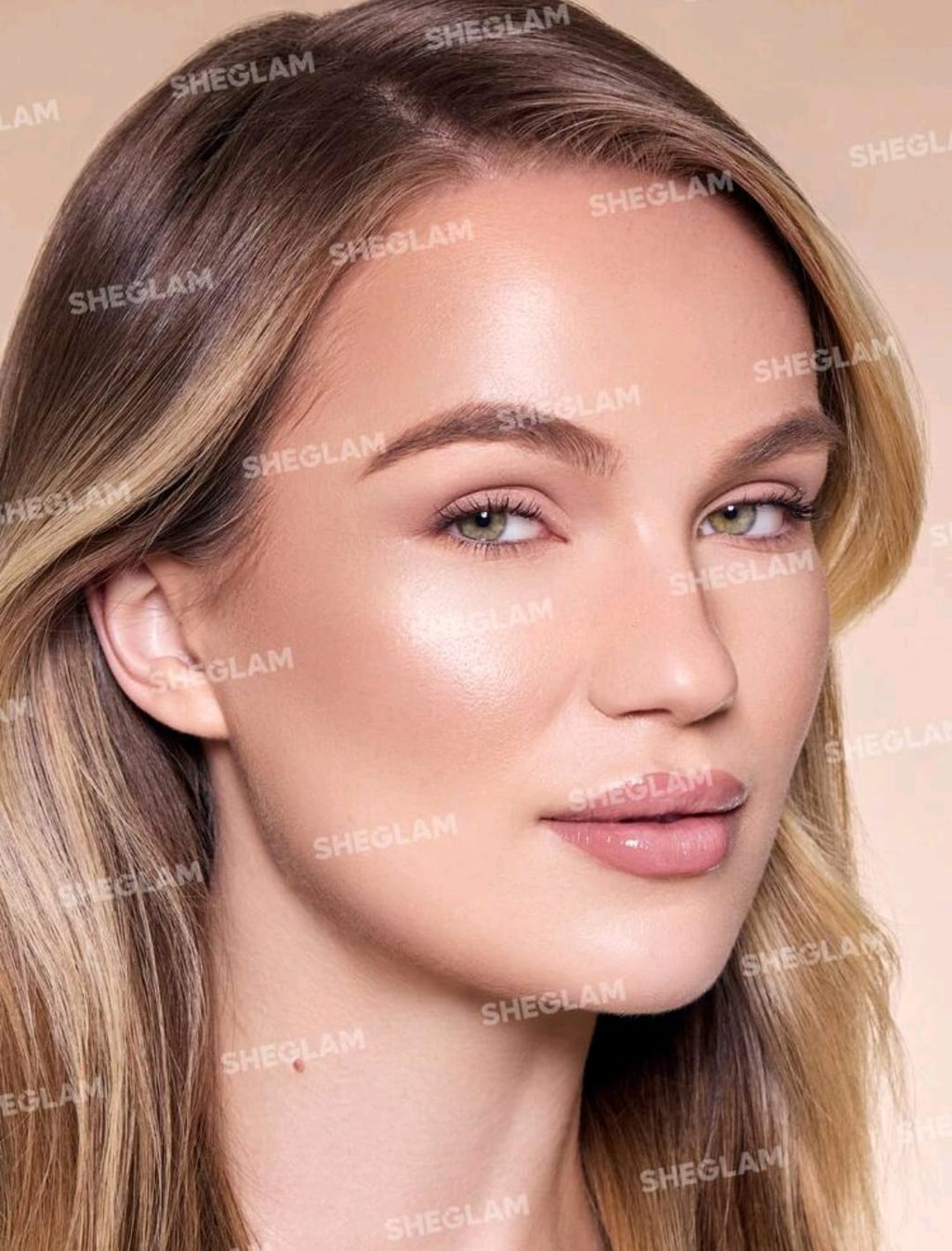 SHEGLAM Sun Beam Matte Liquid Bronzer – Golden Sun Lightweight Blendable Liquid Bronzer for Natural Matte Contour